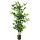 Artificial Ficus Tree with Natural Trunk 125cm